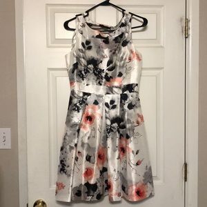 Very pretty peach, black on white mini dress size4